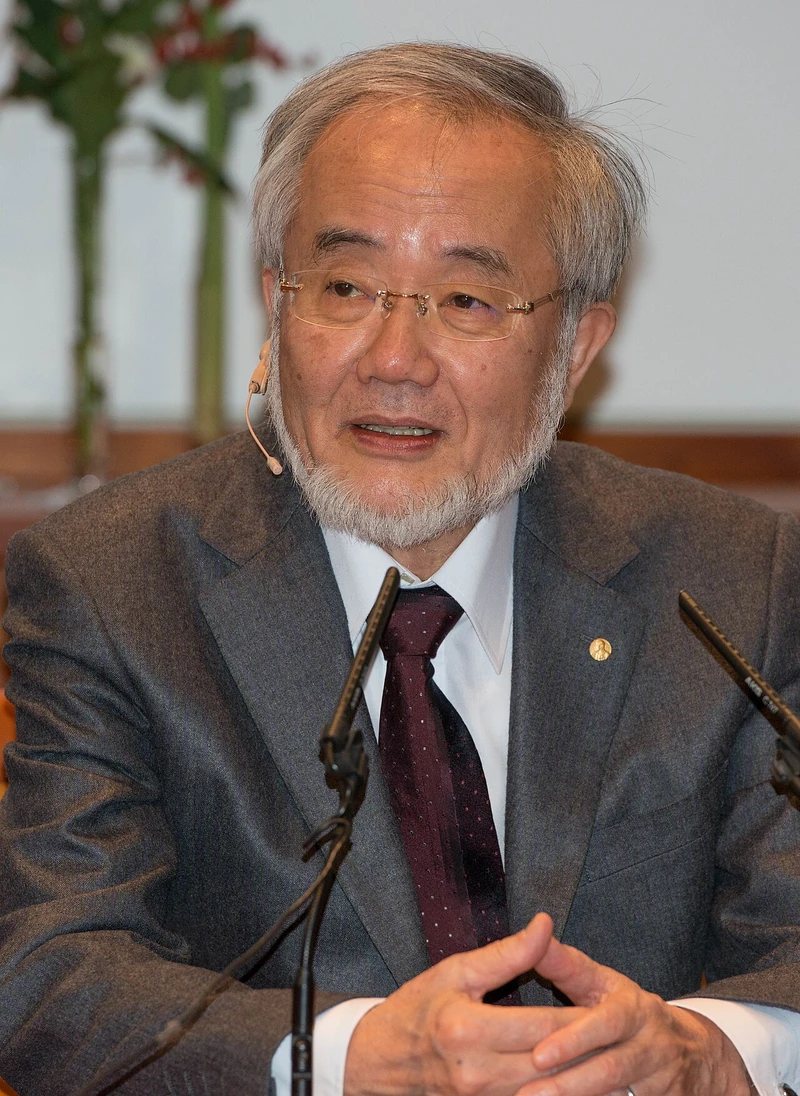 诺贝尔奖得主、东京科学大学特聘教授Yoshinori Ohsumi