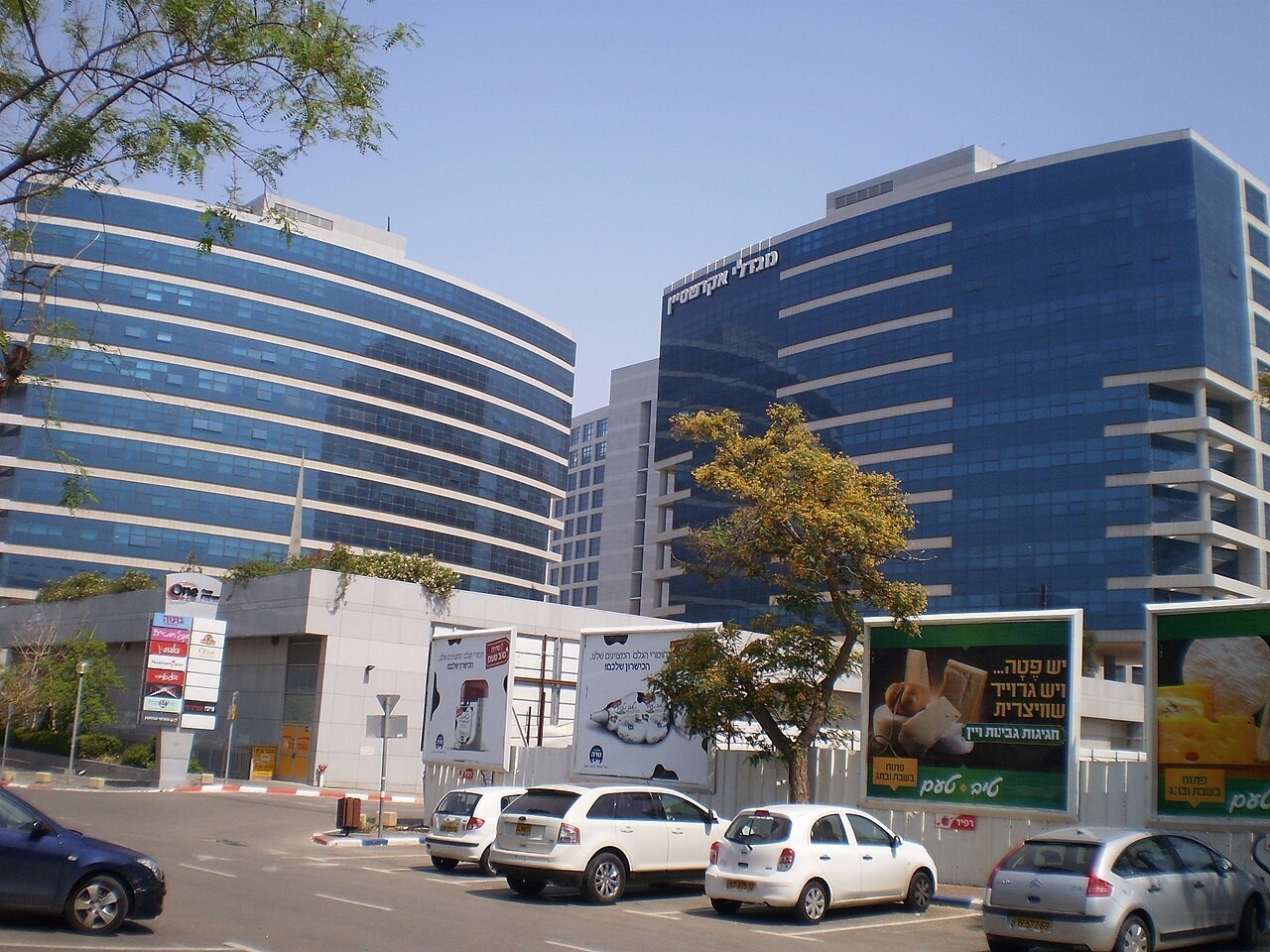 Ackerstein Group 公司实景