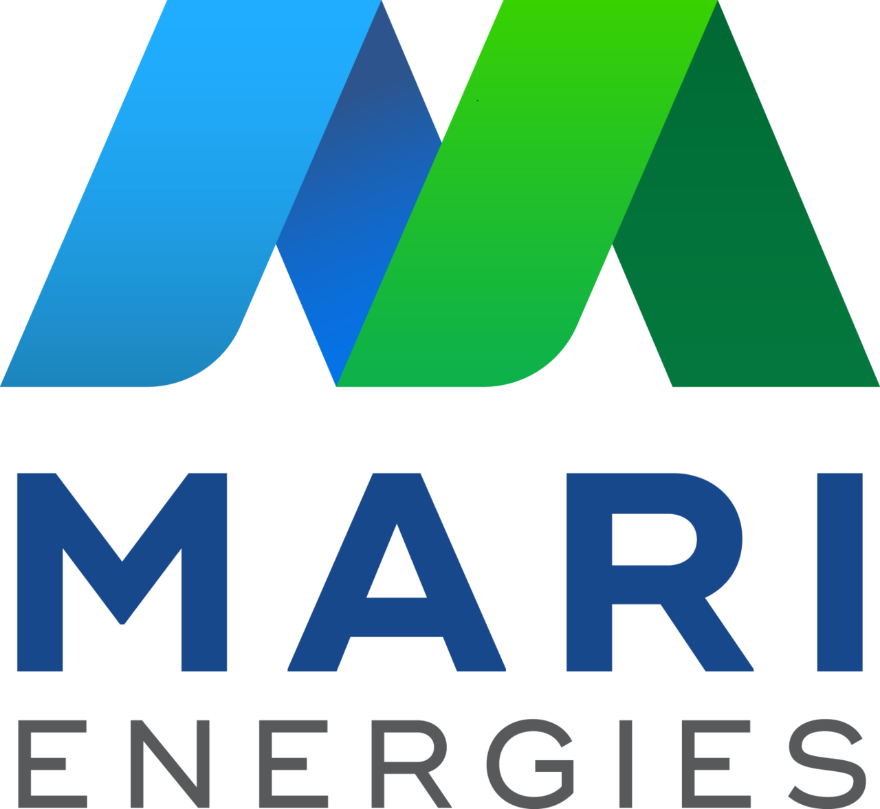 Mari Petroleum Company 标志