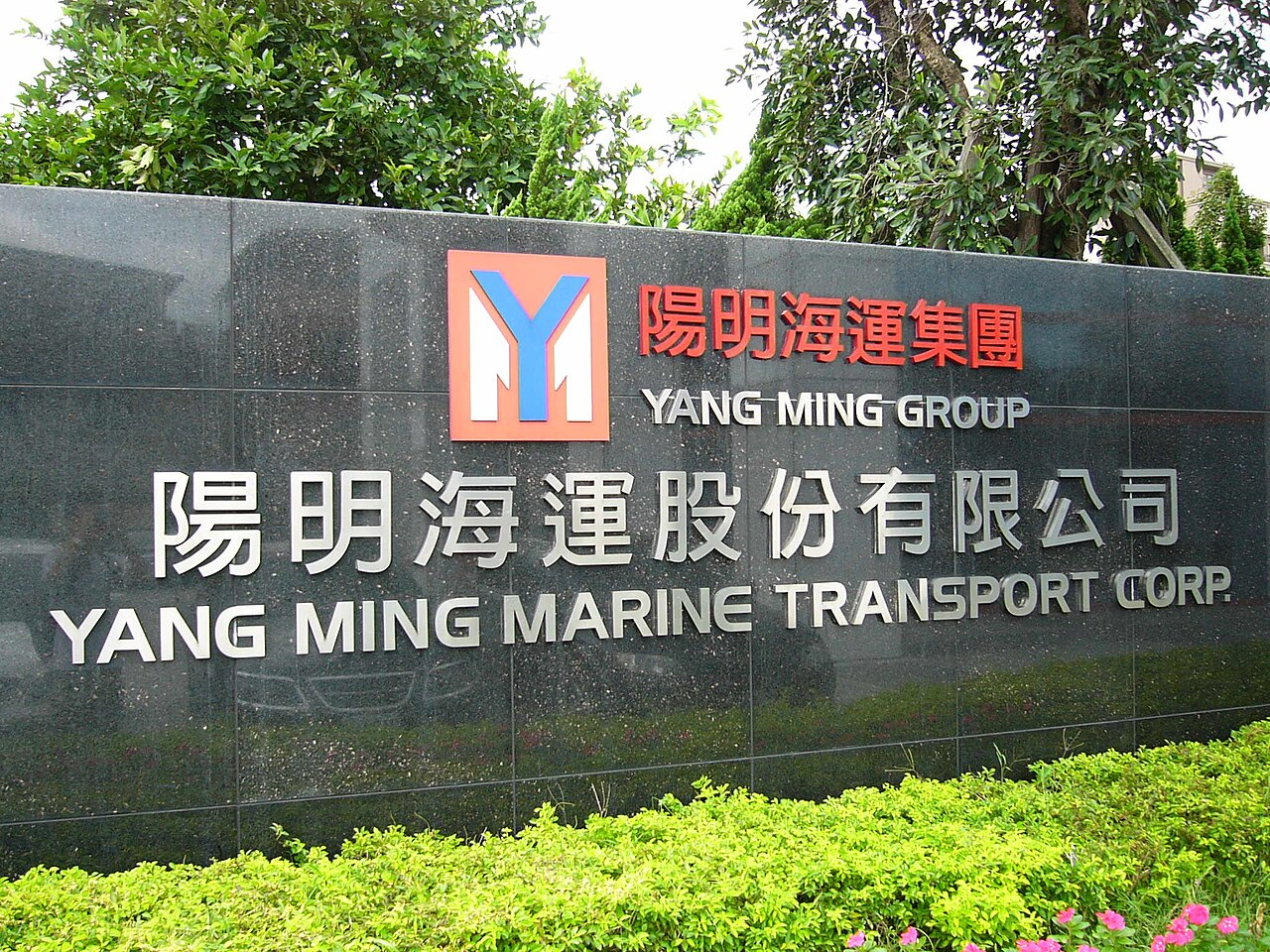 Yang Ming 标志